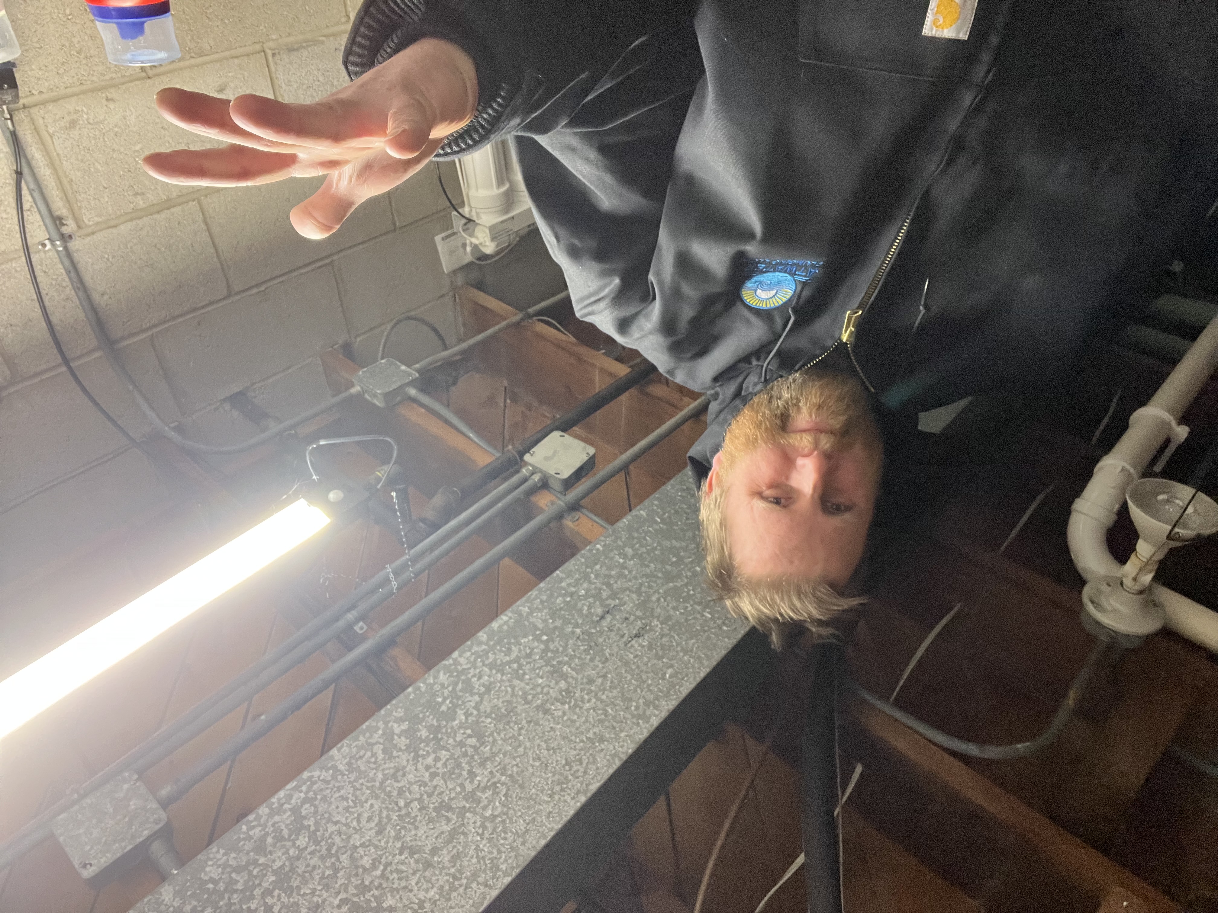 Plumbing service in progress in Bayside