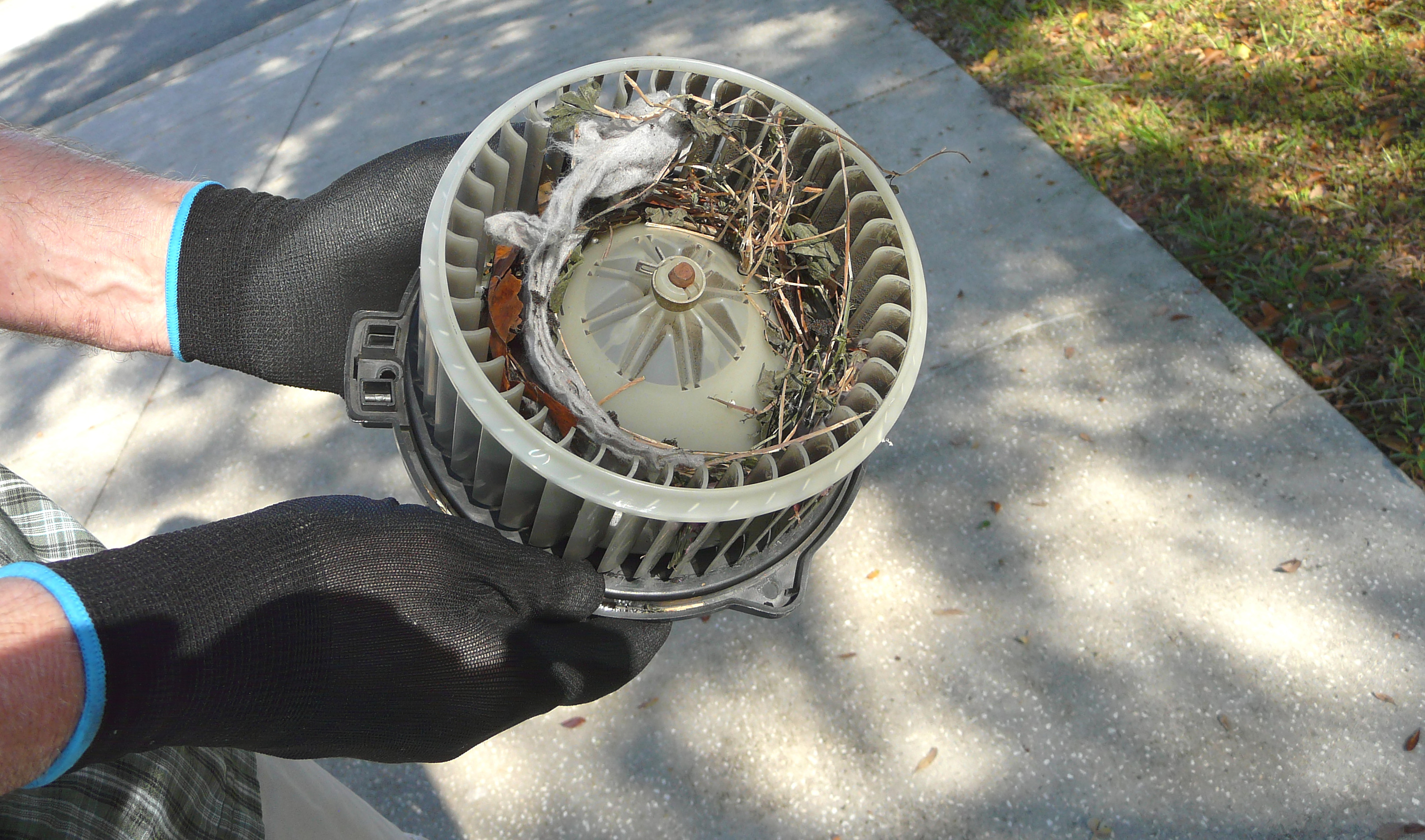 Power vent blower assembly