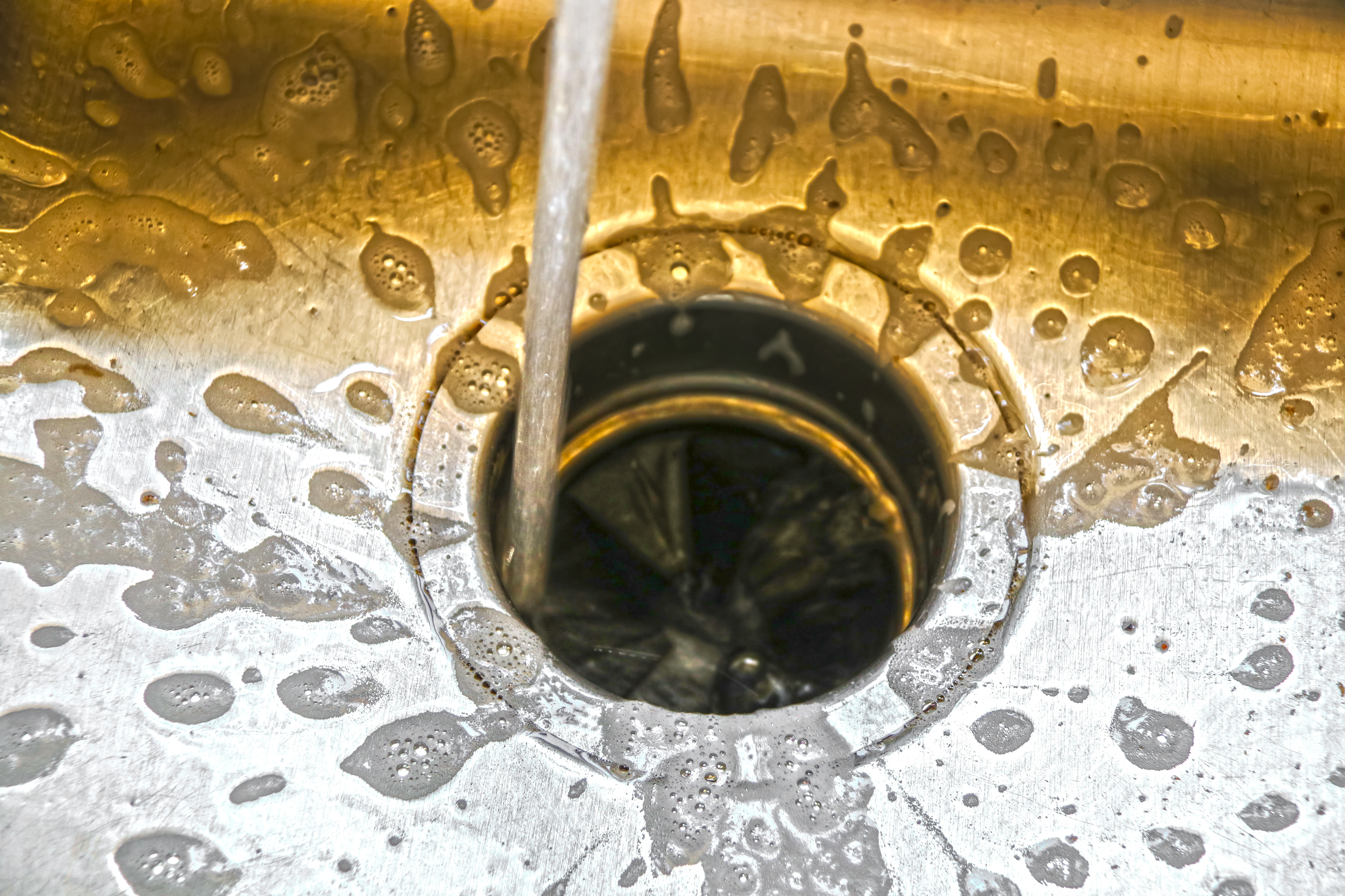 Garbage disposal repair and installation in Milwaukee and Shorewood