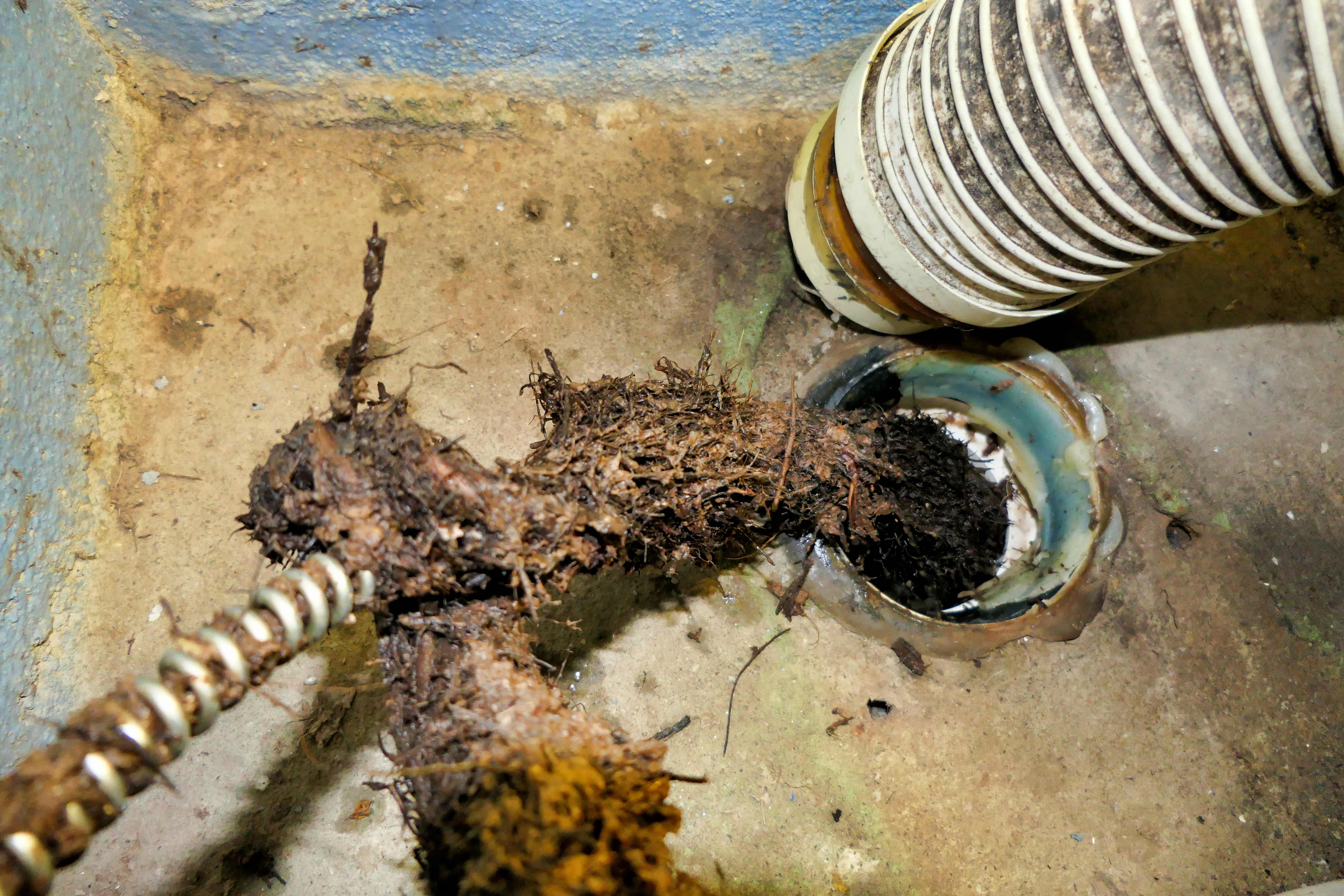Drain cleaning service in Milwaukee, WI