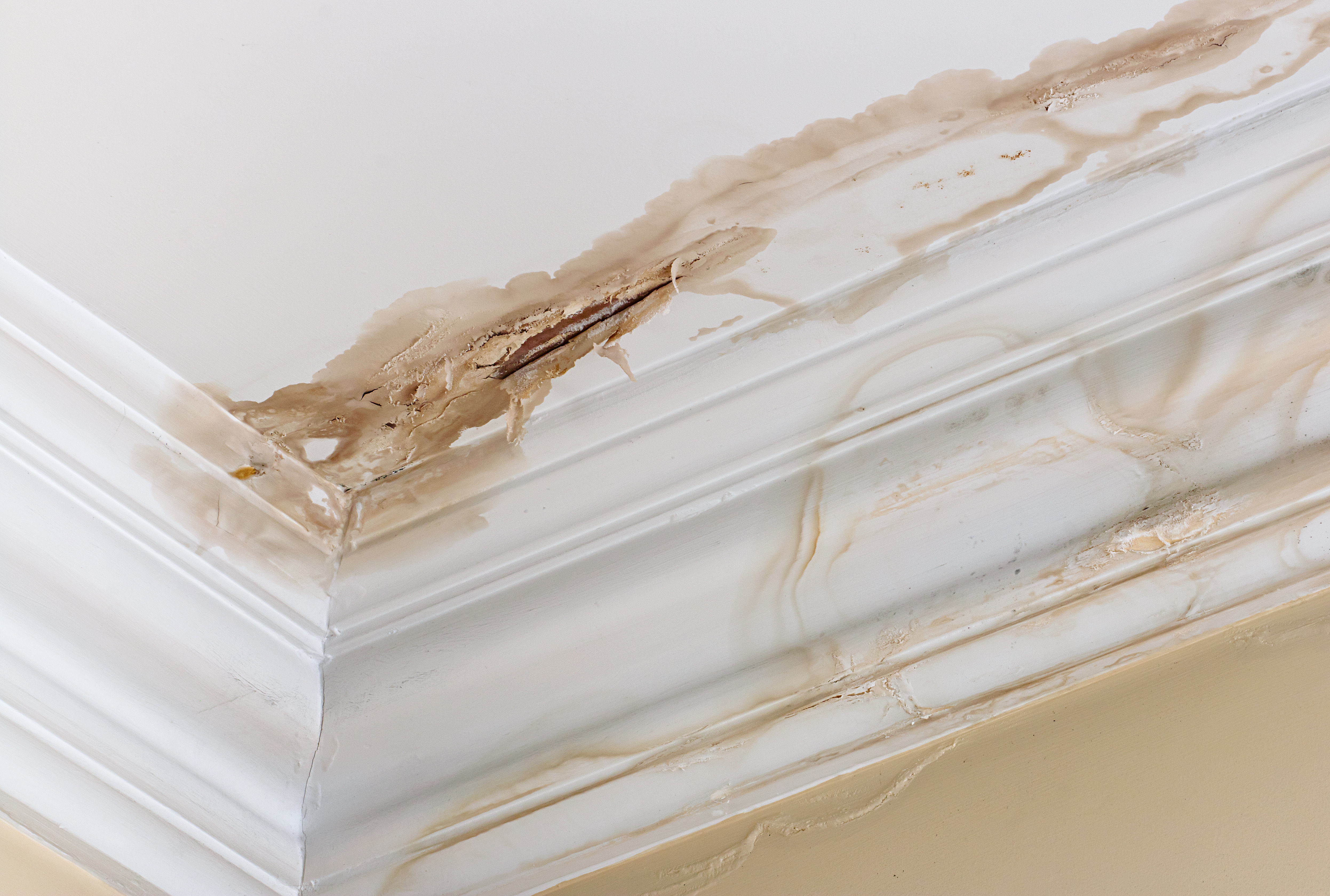 Leak detection and water leak repair in Milwaukee and Shorewood