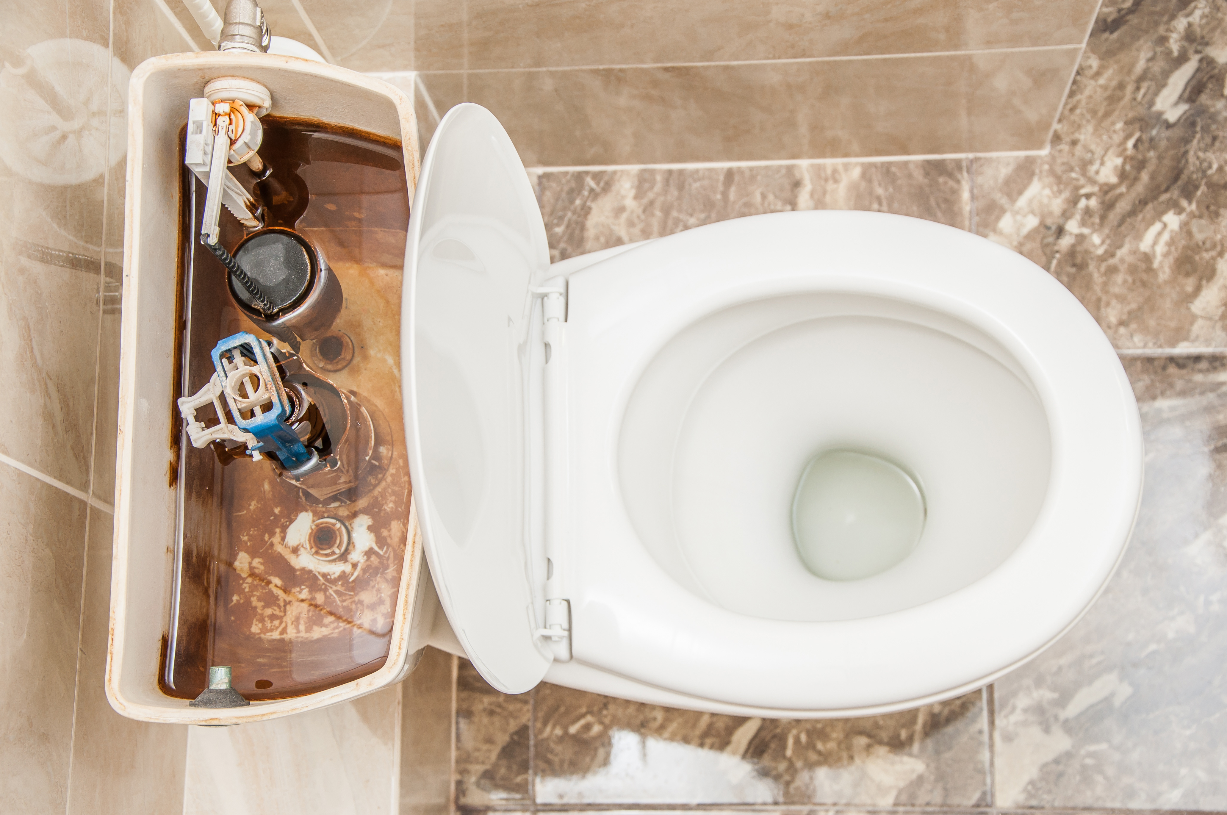 Old toilet in Milwaukee WI before replacement